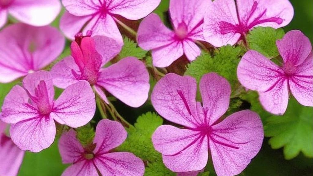 Антиподарки: как одним жестом убить все романтические надежды