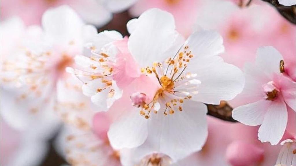 Маски совершенства: разоблачение самых токсичных типов отношений